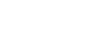 SM - Main logo white - no back.png